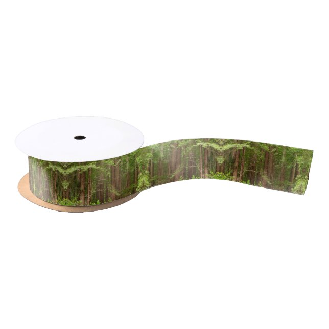Redwood Trees Satin Ribbon (Spool)