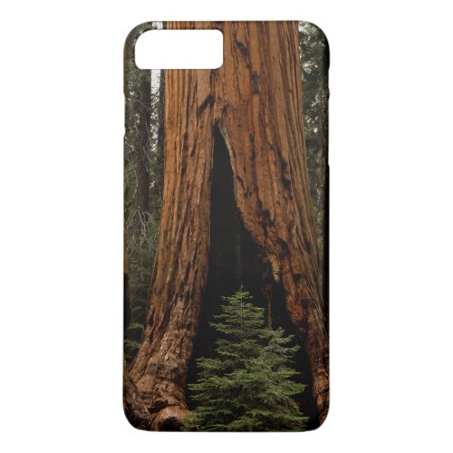 Redwood Trees Sequoia National Park iPhone 8 Plus7 Plus Case