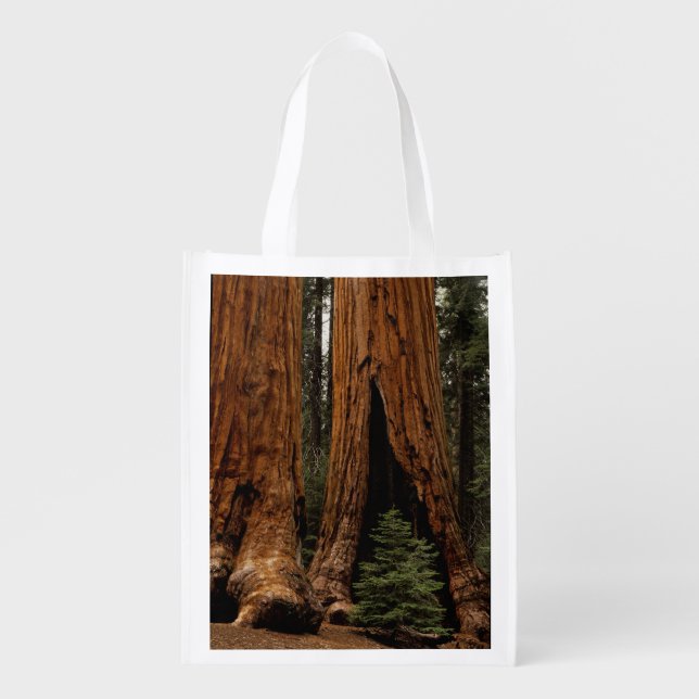 Redwood Trees, Sequoia National Park. Grocery Bag (Front)