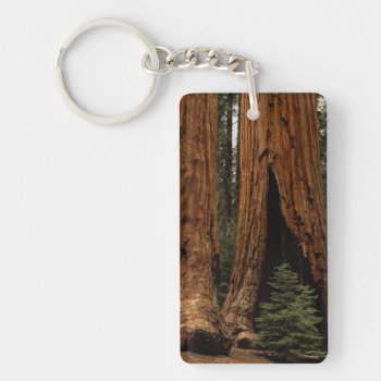 Redwood Trees  Sequoia National Park. Keychain by OneWithNature at Zazzle