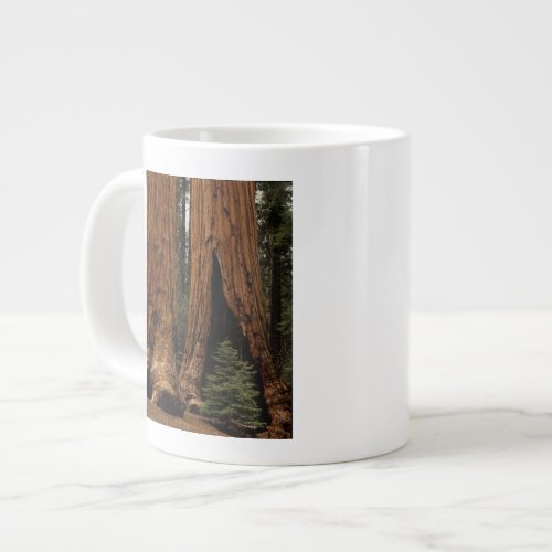 Redwood Trees Sequoia National Park Large Coffee Mug