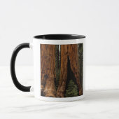 Redwood Trees, Sequoia National Park. Mug (Left)
