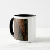 Redwood Trees, Sequoia National Park. Mug (Front Left)