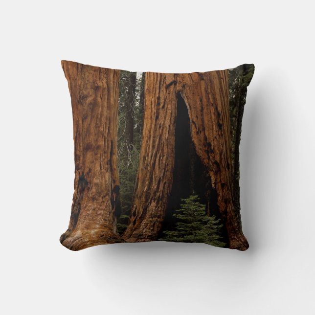 Redwood Trees, Sequoia National Park. Throw Pillow (Front)