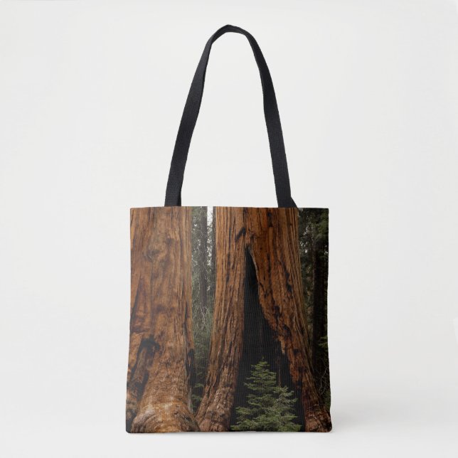 Redwood Trees, Sequoia National Park Tote Bag (Front)