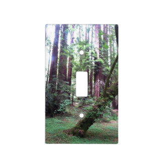 Redwood Trees Switch Plate