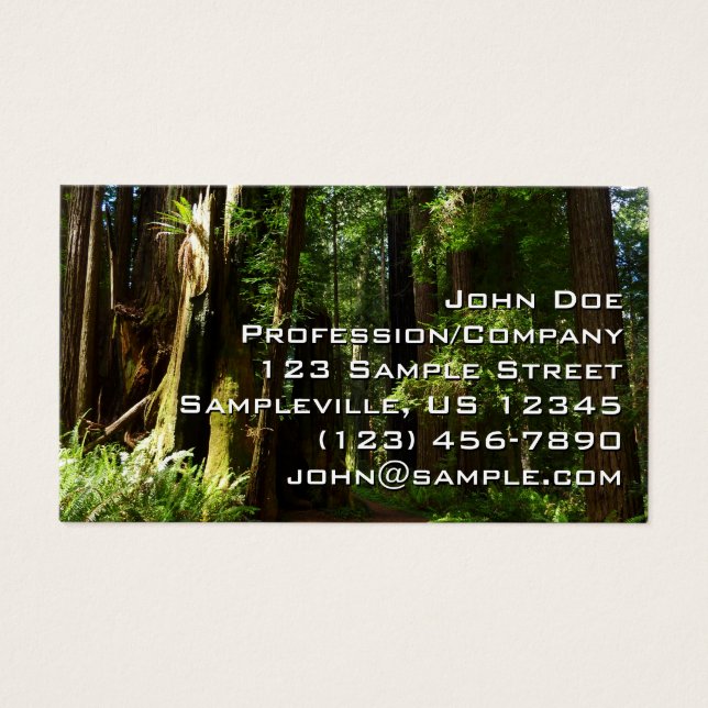 Redwoods and Ferns at Redwood National Park (Front)