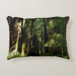 Redwoods and Ferns at Redwood National Park Accent Pillow