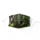 Redwoods and Ferns at Redwood National Park Adult Cloth Face Mask