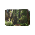 Redwoods and Ferns at Redwood National Park Bath Mat