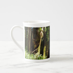 Redwoods and Ferns at Redwood National Park Bone China Mug