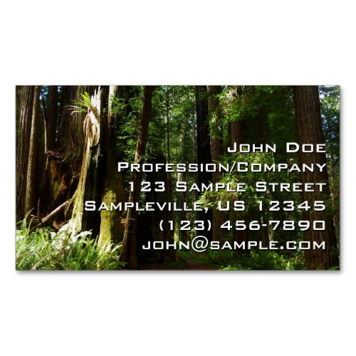 Redwoods and Ferns at Redwood National Park Business Card Magnet
