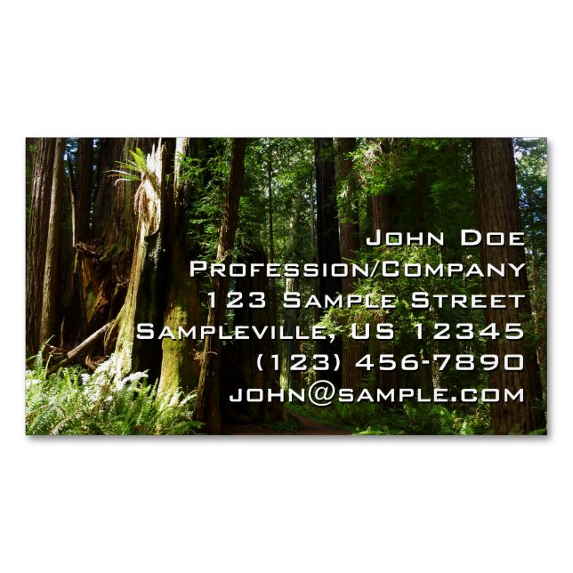 Redwoods and Ferns at Redwood National Park Business Card Magnet (Front)