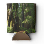 Redwoods and Ferns at Redwood National Park Can Cooler