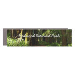 Redwoods and Ferns at Redwood National Park Car Magnet