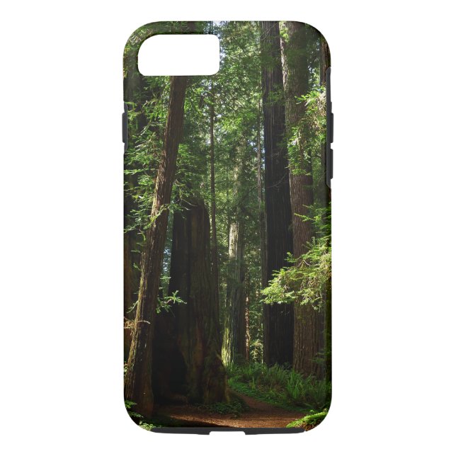 Redwoods and Ferns at Redwood National Park Case-Mate iPhone Case (Back)