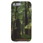 Redwoods and Ferns at Redwood National Park Tough iPhone 6 Case
