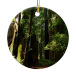Redwoods and Ferns at Redwood National Park Ceramic Ornament