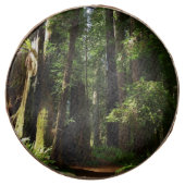 Redwoods and Ferns at Redwood National Park Chocolate Covered Oreo (Front)