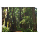 Redwoods and Ferns at Redwood National Park Cloth Placemat