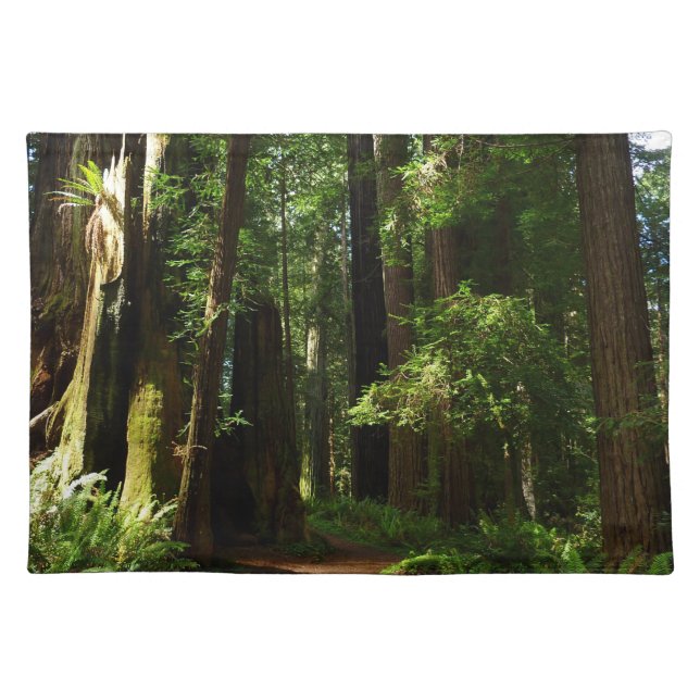 Redwoods and Ferns at Redwood National Park Cloth Placemat (Front)