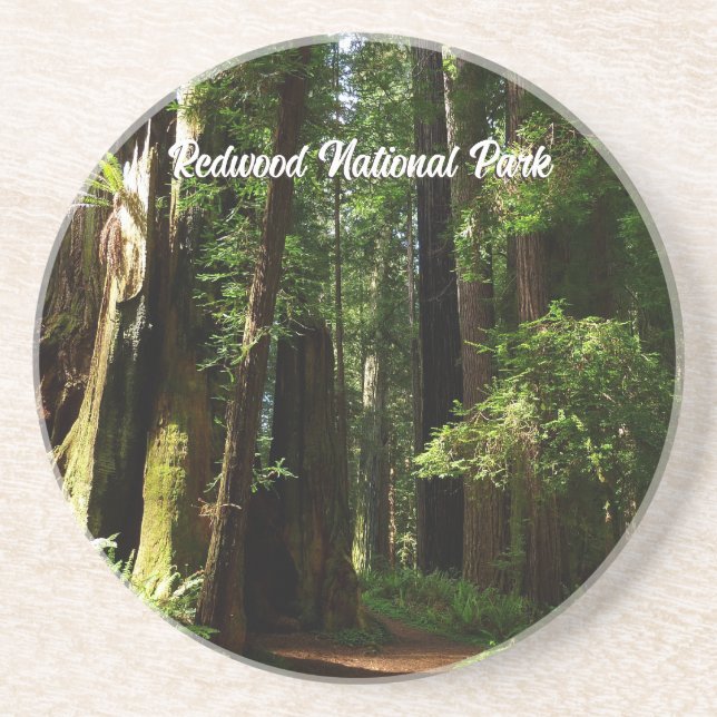 Redwoods and Ferns at Redwood National Park Coaster (Front)