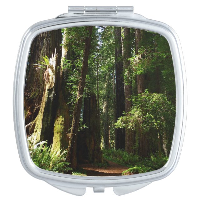 Redwoods and Ferns at Redwood National Park Compact Mirror (Front)