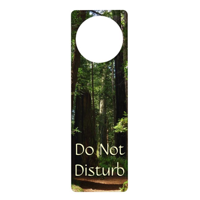 Redwoods and Ferns at Redwood National Park Door Hanger (Front)