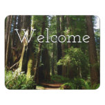 Redwoods and Ferns at Redwood National Park Door Sign