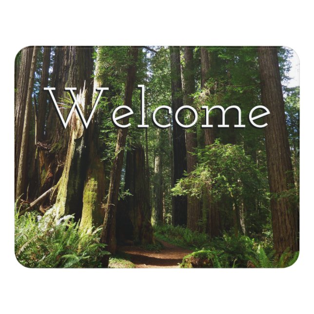 Redwoods and Ferns at Redwood National Park Door Sign (Contemporary Front)