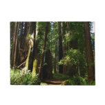 Redwoods and Ferns at Redwood National Park Doormat