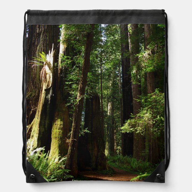 Redwoods and Ferns at Redwood National Park Drawstring Bag (Front)