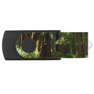 Redwoods and Ferns at Redwood National Park Flash Drive