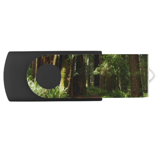 Redwoods and Ferns at Redwood National Park Flash Drive (Front)