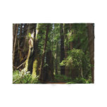 Redwoods and Ferns at Redwood National Park Fleece Blanket
