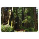 Redwoods and Ferns at Redwood National Park Floor Mat