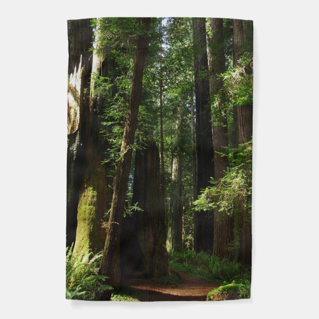 Redwoods and Ferns at Redwood National Park Garden Flag (Front)