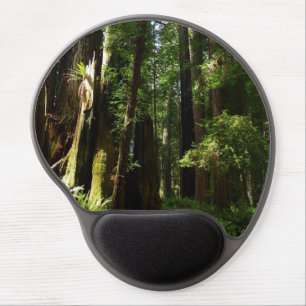 Redwoods and Ferns at Redwood National Park Gel Mouse Pad