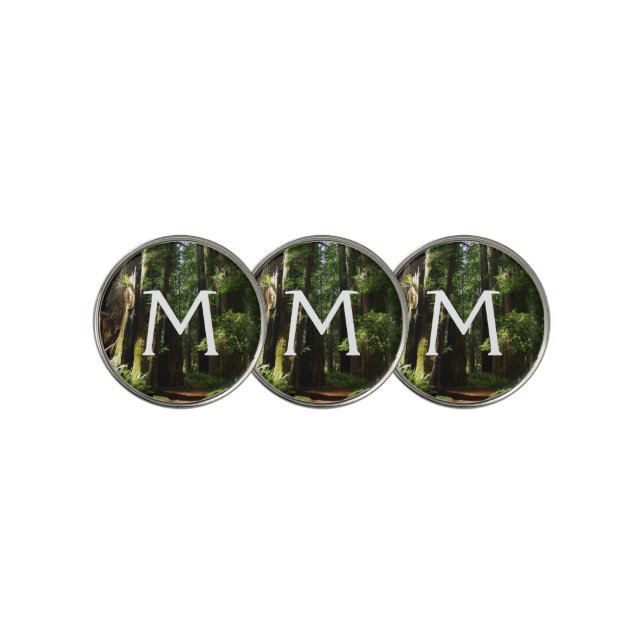 Redwoods and Ferns at Redwood National Park Golf Ball Marker (3 Up)