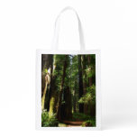 Redwoods and Ferns at Redwood National Park Grocery Bag