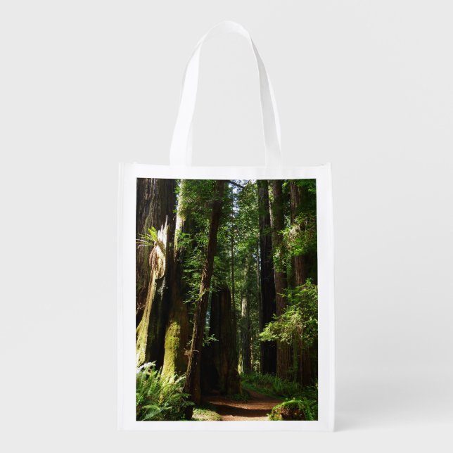 Redwoods and Ferns at Redwood National Park Grocery Bag (Front)