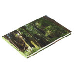 Redwoods and Ferns at Redwood National Park Guest Book