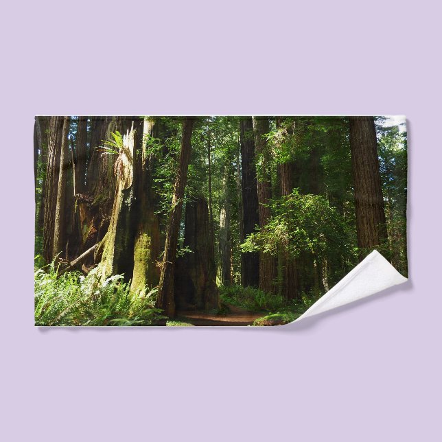Redwoods and Ferns at Redwood National Park Hand Towel (Hand Towel)