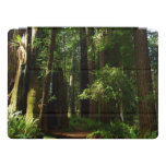 Redwoods and Ferns at Redwood National Park iPad Pro Cover