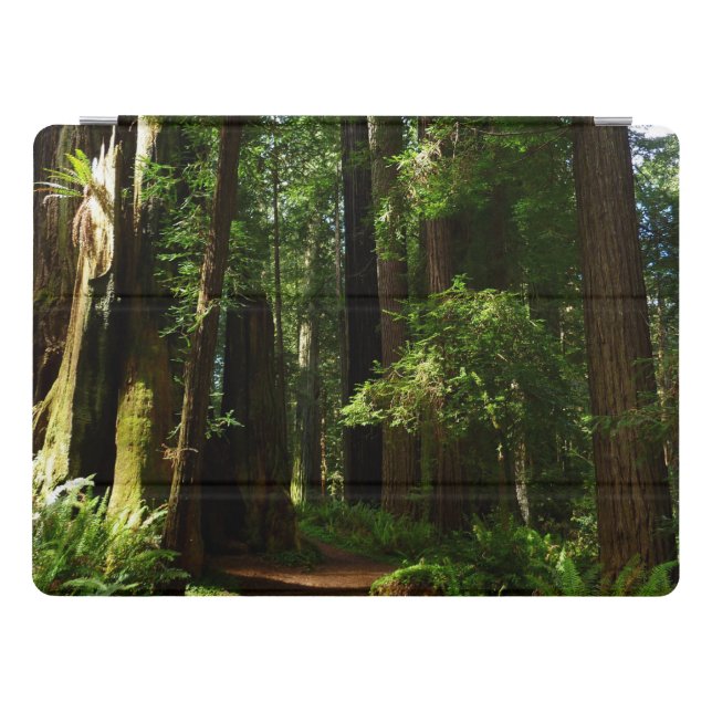 Redwoods and Ferns at Redwood National Park iPad Pro Cover (Horizontal)
