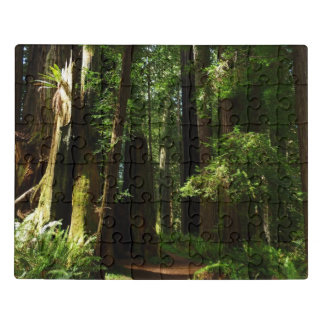 Redwoods and Ferns at Redwood National Park Jigsaw Puzzle