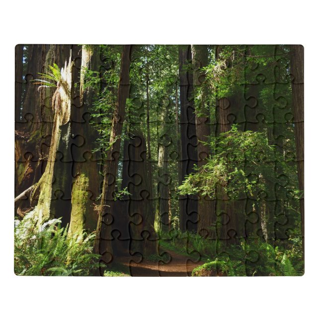 Redwoods and Ferns at Redwood National Park Jigsaw Puzzle (Puzzle Horizontal)