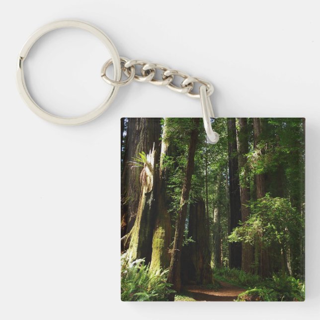 Redwoods and Ferns at Redwood National Park Keychain (Front)