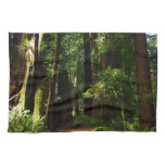 Redwoods and Ferns at Redwood National Park Kitchen Towel
