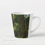 Redwoods and Ferns at Redwood National Park Latte Mug